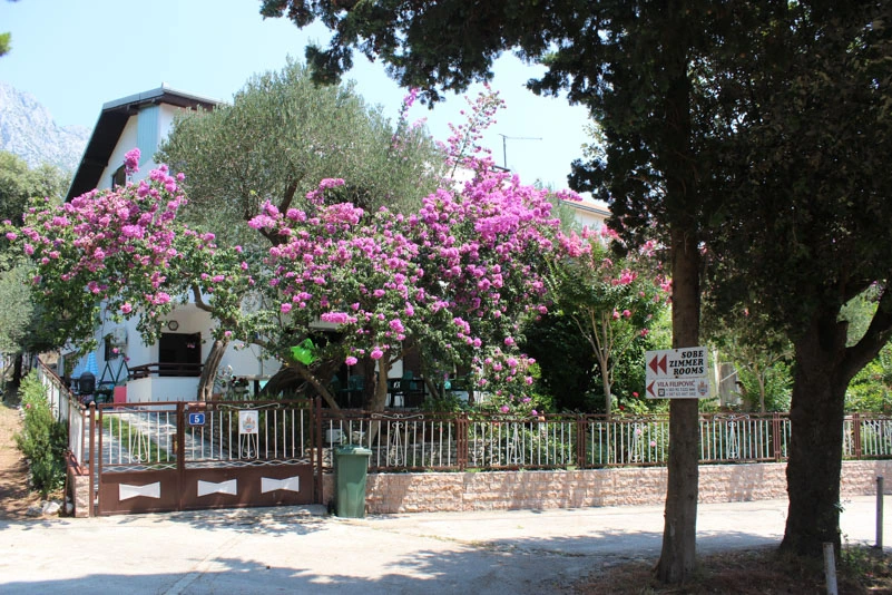 kuća za grupu Živogošće Blato kuća 1 smještaj za više osoba Makarska rivijera