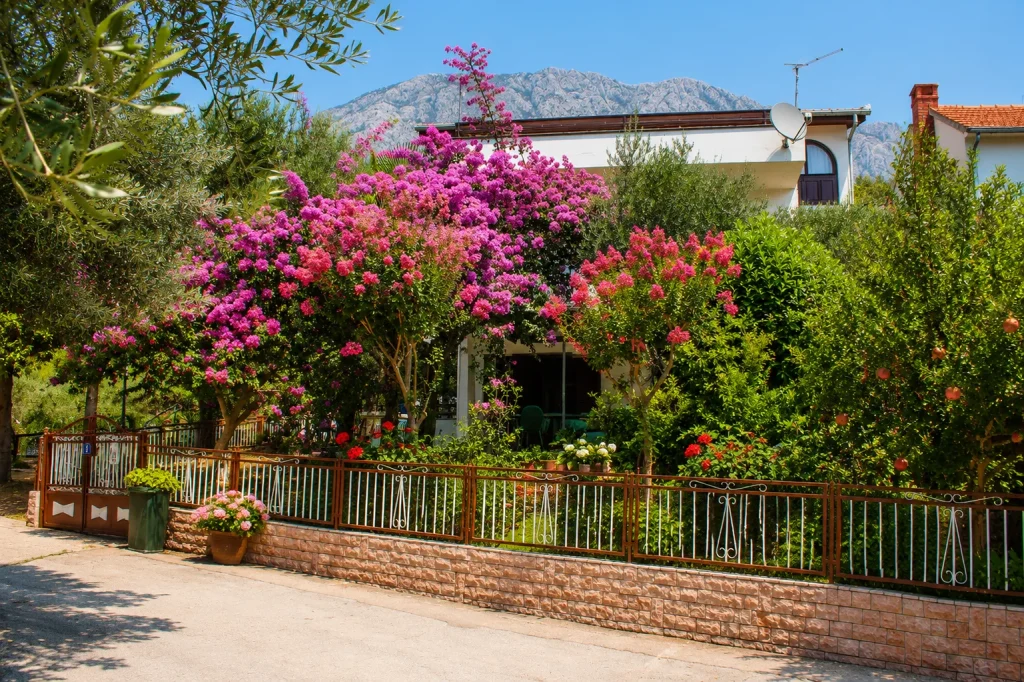 apartman-chorvatsko-zivogosce